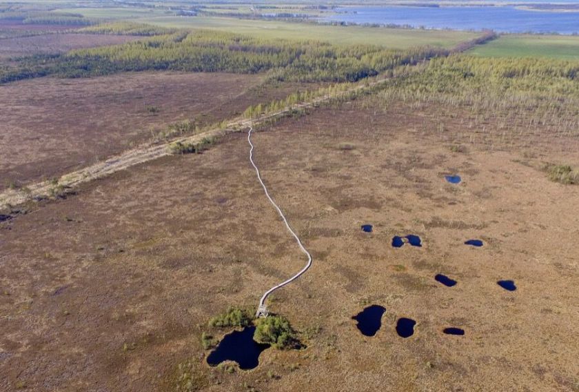 Pelkių atkūrimas Lietuvoje – krašto gynybos priemonė?