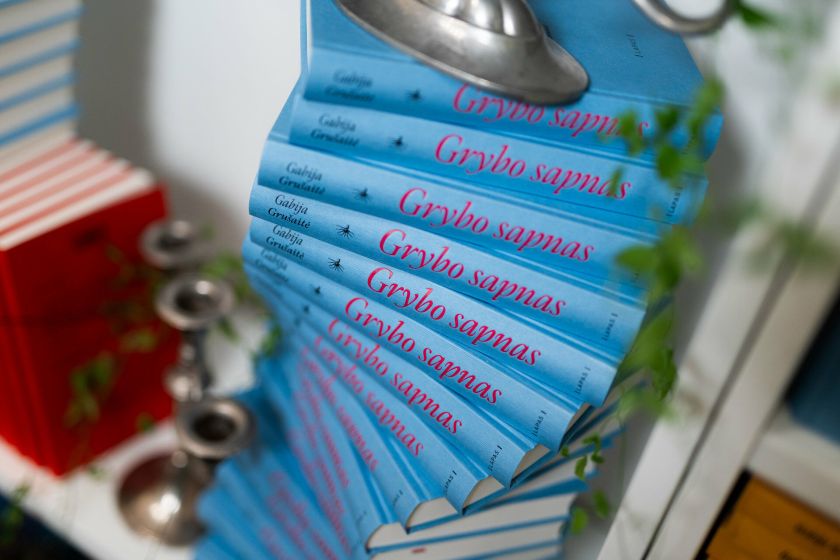 G. Grušaitės „Grybo sapnas“ – naujausias romanas atnaujintoje lietuvių kalbos programoje gimnazistams