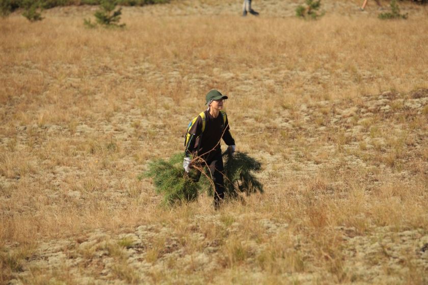 Festivalis „Sveika, Neringa“ – jau šį savaitgalį: dainos, įkvėptos jūros ir Neringos mero iššūkis.