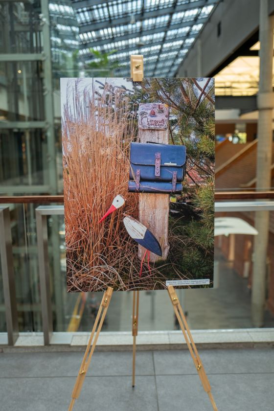 Baltijos jūros žinutė pasiekė Alytų: aplankykite parodą Alytaus kultūros centre