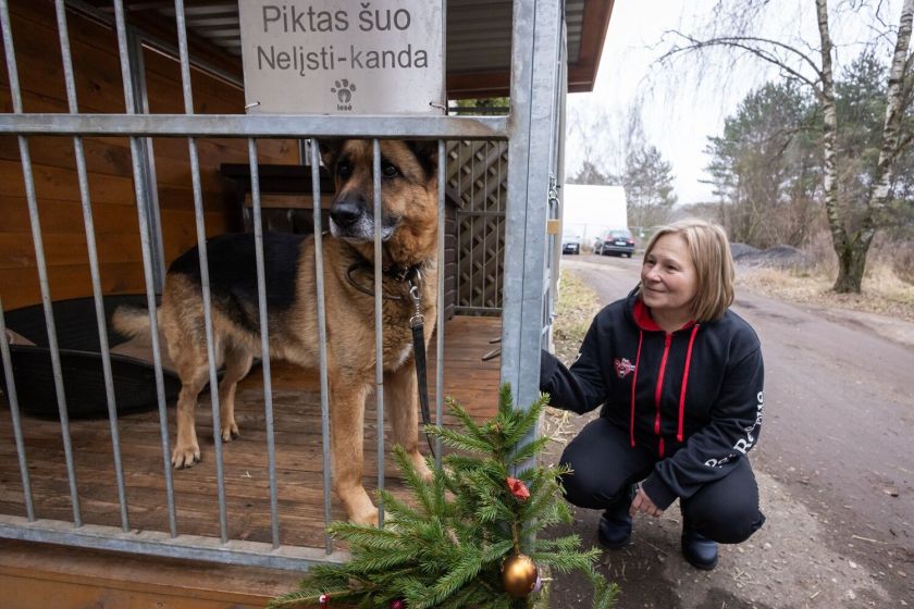 Dešimtmetį mininti „Pet Rescue Finland“ organizacija namus Suomijoje surado jau daugiau nei 2300 Lietuvos prieglaudų šunų