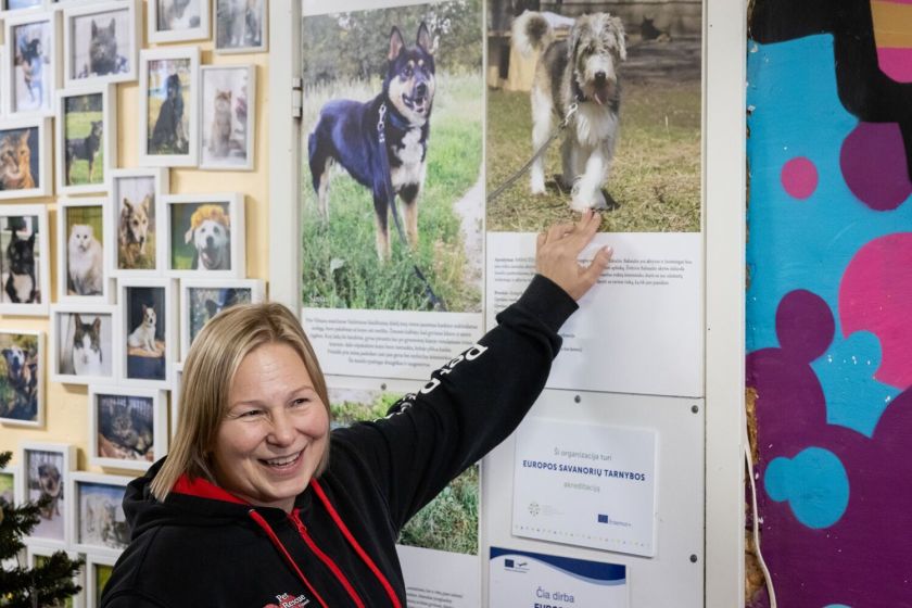 Dešimtmetį mininti „Pet Rescue Finland“ organizacija namus Suomijoje surado jau daugiau nei 2300 Lietuvos prieglaudų šunų